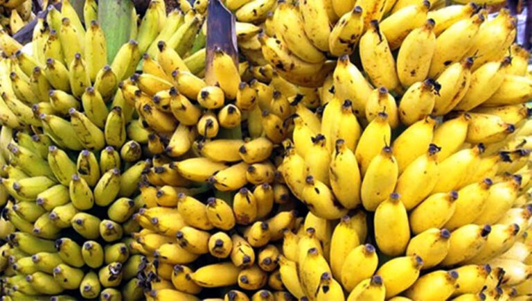 banana-kera1633342877