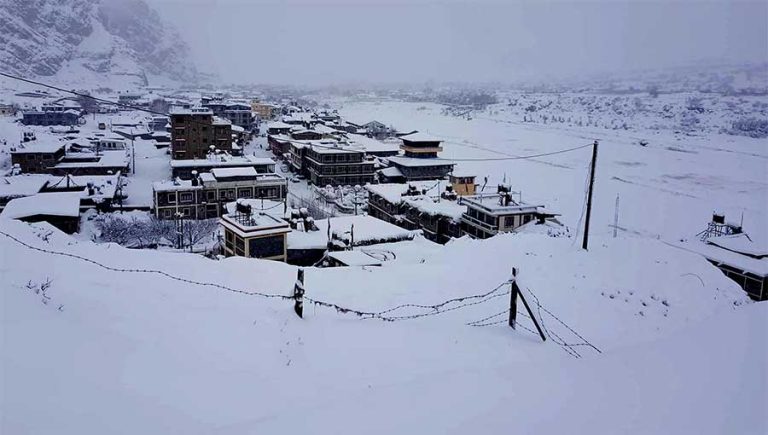 mustang-himpat-1770166867