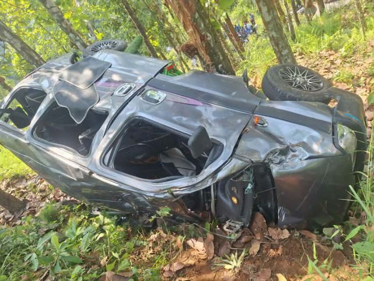 Sawari-accident-1780483946